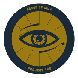 Visual representation of sense of self with Project 168.