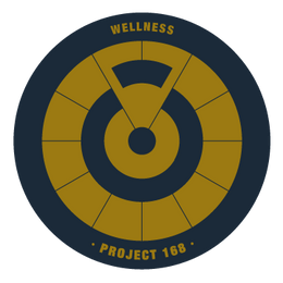 Visual representation of wellness with Project 168.